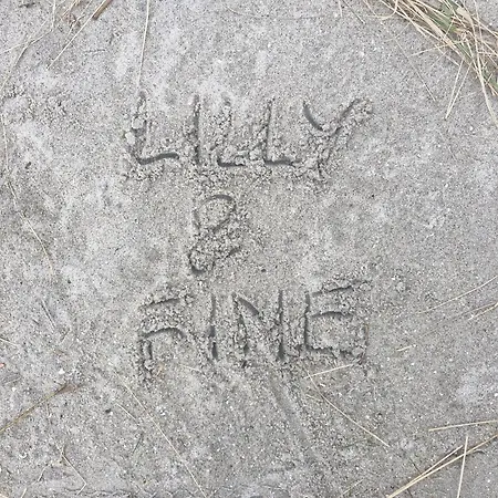 Lilly & Fine