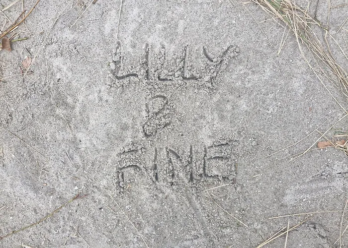 Lilly & Fine