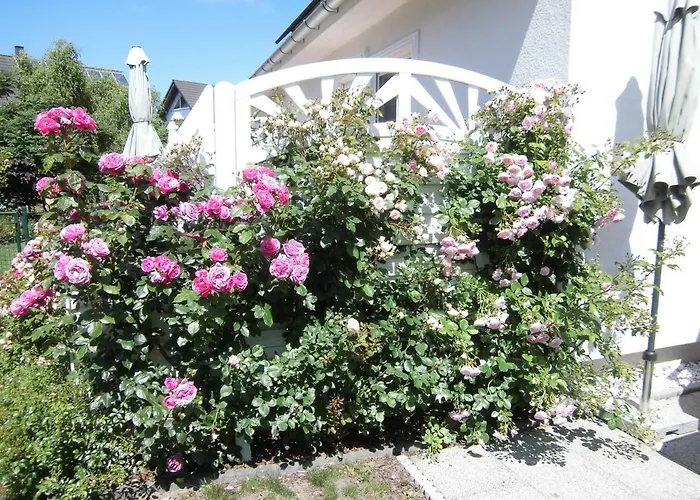 Διαμέρισμα Lilly & Fine Zingst